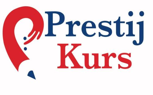 12.SINIF SAYISAL EĞİTİM SETİ (PRESTİJ)
